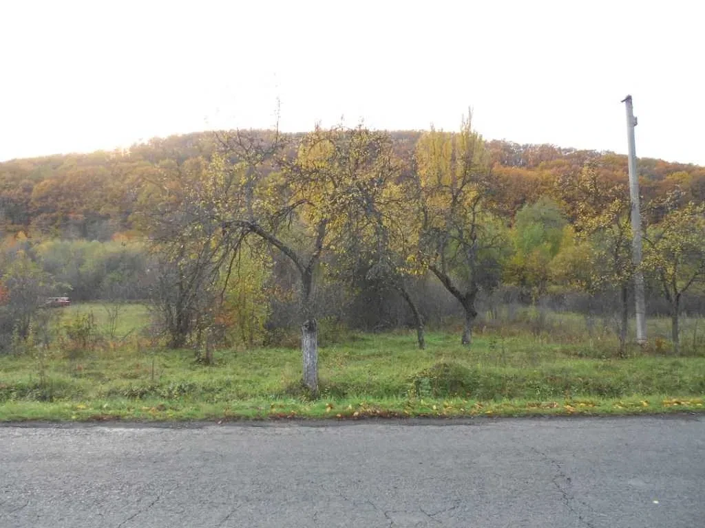 Ділянка 95 соток, Ужгородський район: мінеральна вода, спа - фото 1