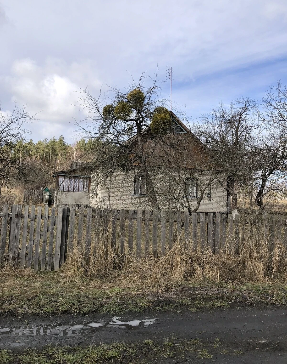 Будинок, Мала Токарівка: веранда, 60 соток, штучне озеро - фото 5