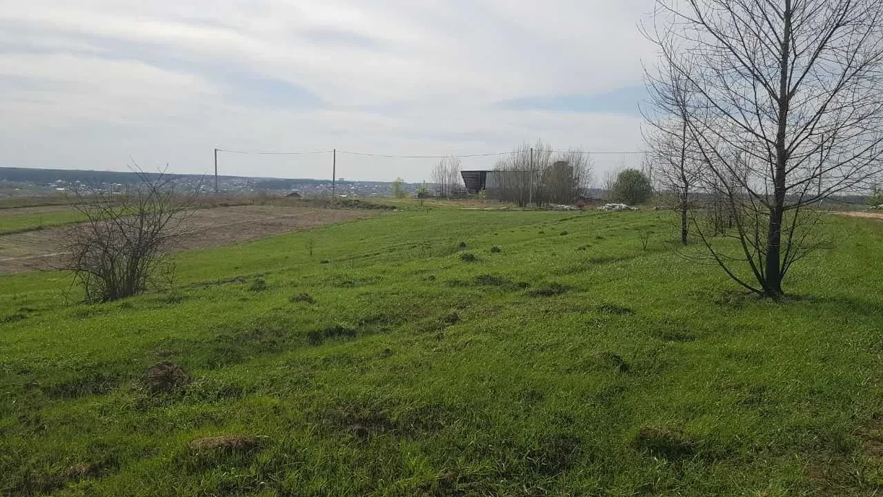 Ділянка 18 соток, Юрівка, Фастівський район: електрика, газ - фото 2