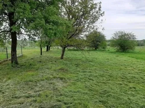 Участок 35 соток, Нижние Гаи: большой сад, нежилой деревянный дом, фото 3