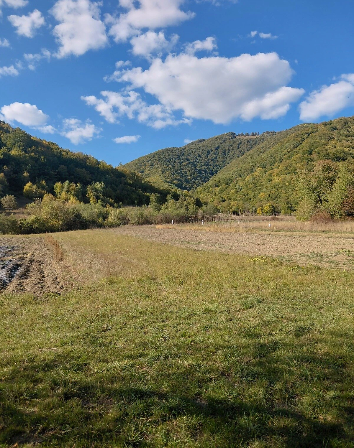 Ділянка 20 соток, Кострина: під житлову забудову, рівнинна - фото 3