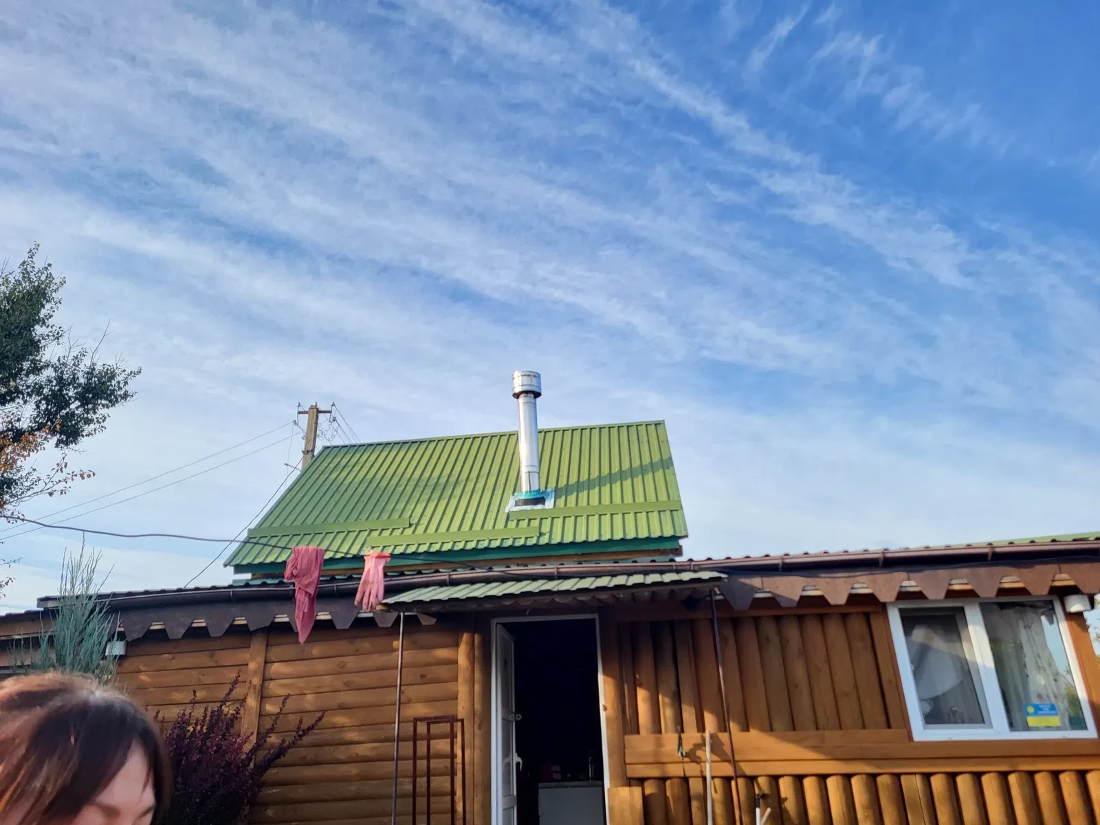 Дача, Полтава: гриби на ділянці, сонячні панелі - фото 2