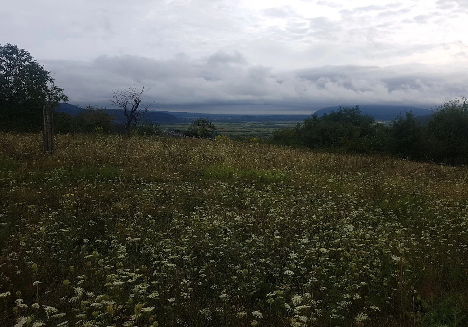 Участок 99.4 сотки, Рокосово: горный рельеф, колодец, фото 4