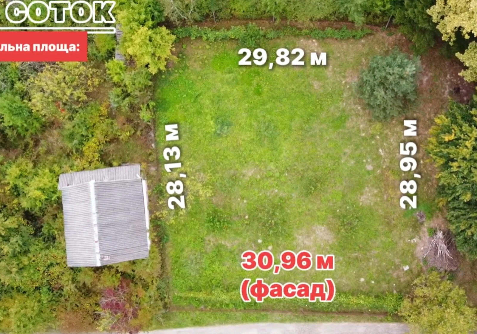 Ділянка 8.6 соток, Оноківці: сад, виноградник, паркан, фото 2