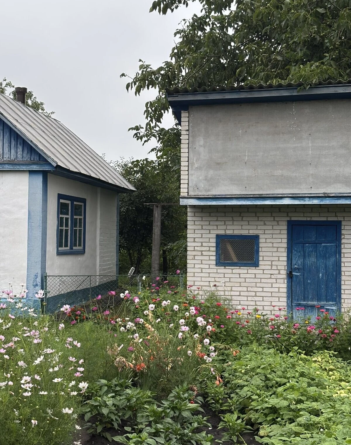 Будинок, Запоріжжя: 67 соток, веранда, торг можливий - фото 4