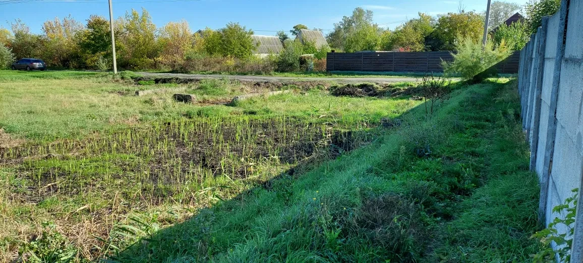 Участок 10 соток, Горяновское: лес и озера в 300 м, электричество 380/220 - фото 3