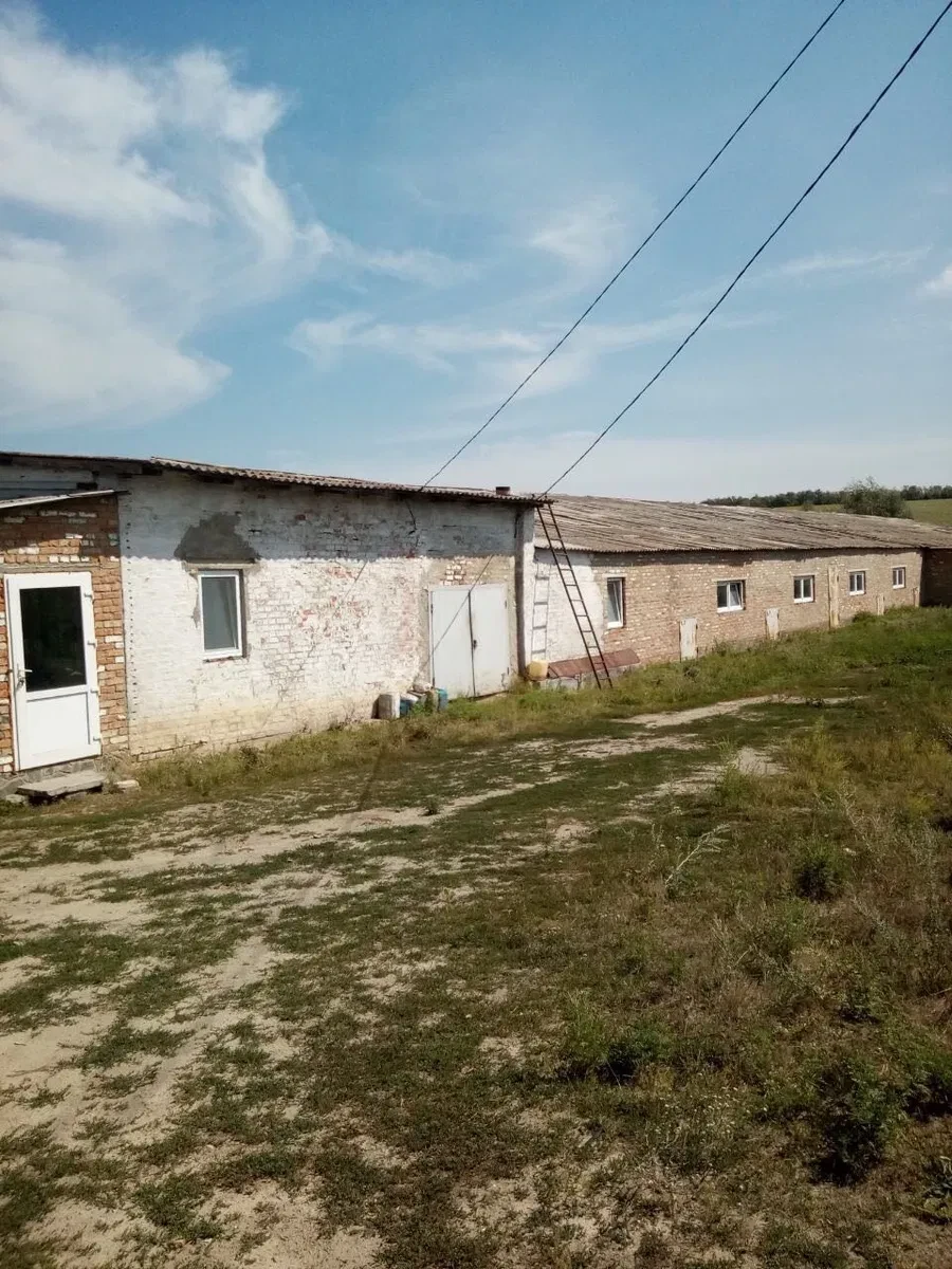 Фермерское хозяйство, Вербовец: 3 фазы, скважина 16 м, фото 2