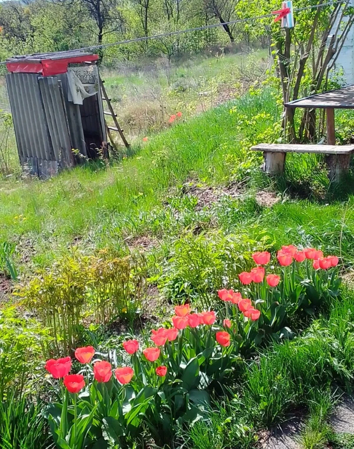 Будинок, Стецівка (Звенигородка): пічне опалення, окремий вхід - фото 5