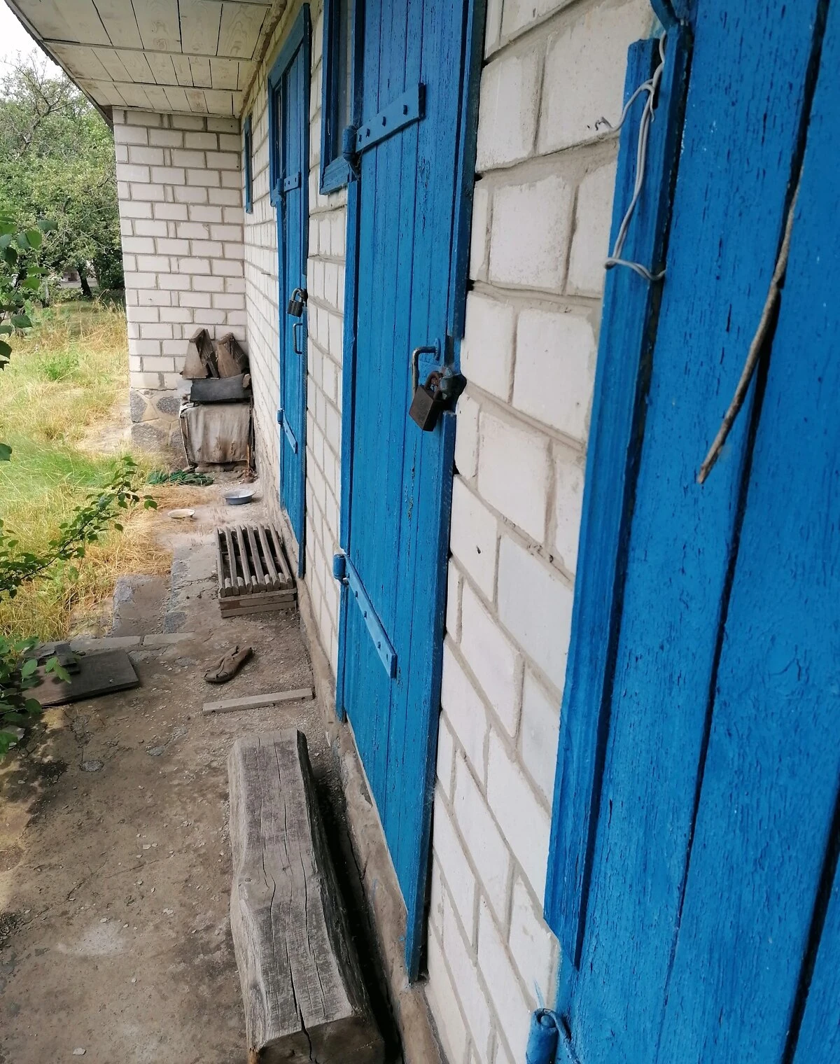 Ділянка 16 соток, Велика Багачка: водопровід, сад і виноградник, фото 5