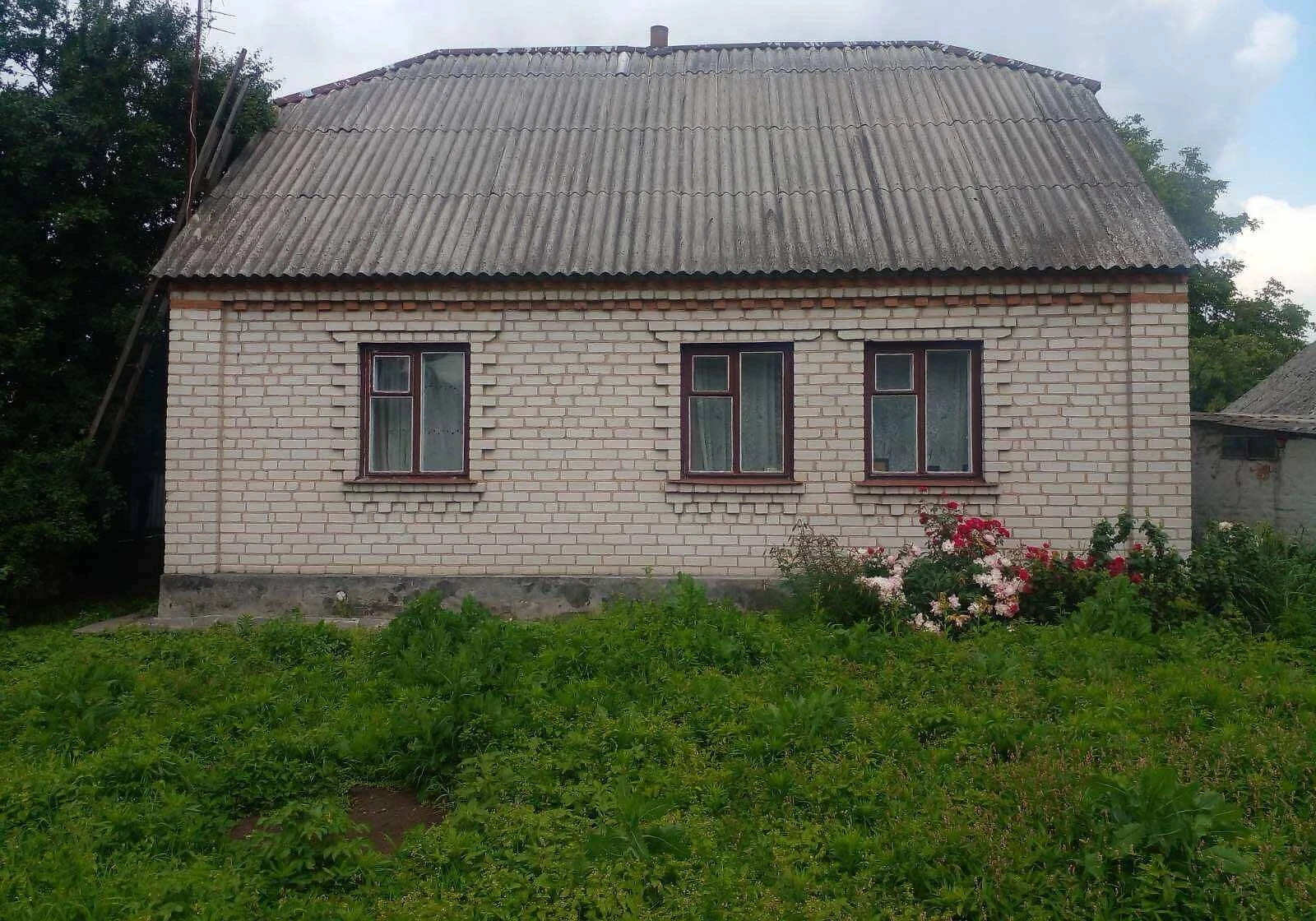 Будинок, Радомишль: гараж, літня кухня, погріб