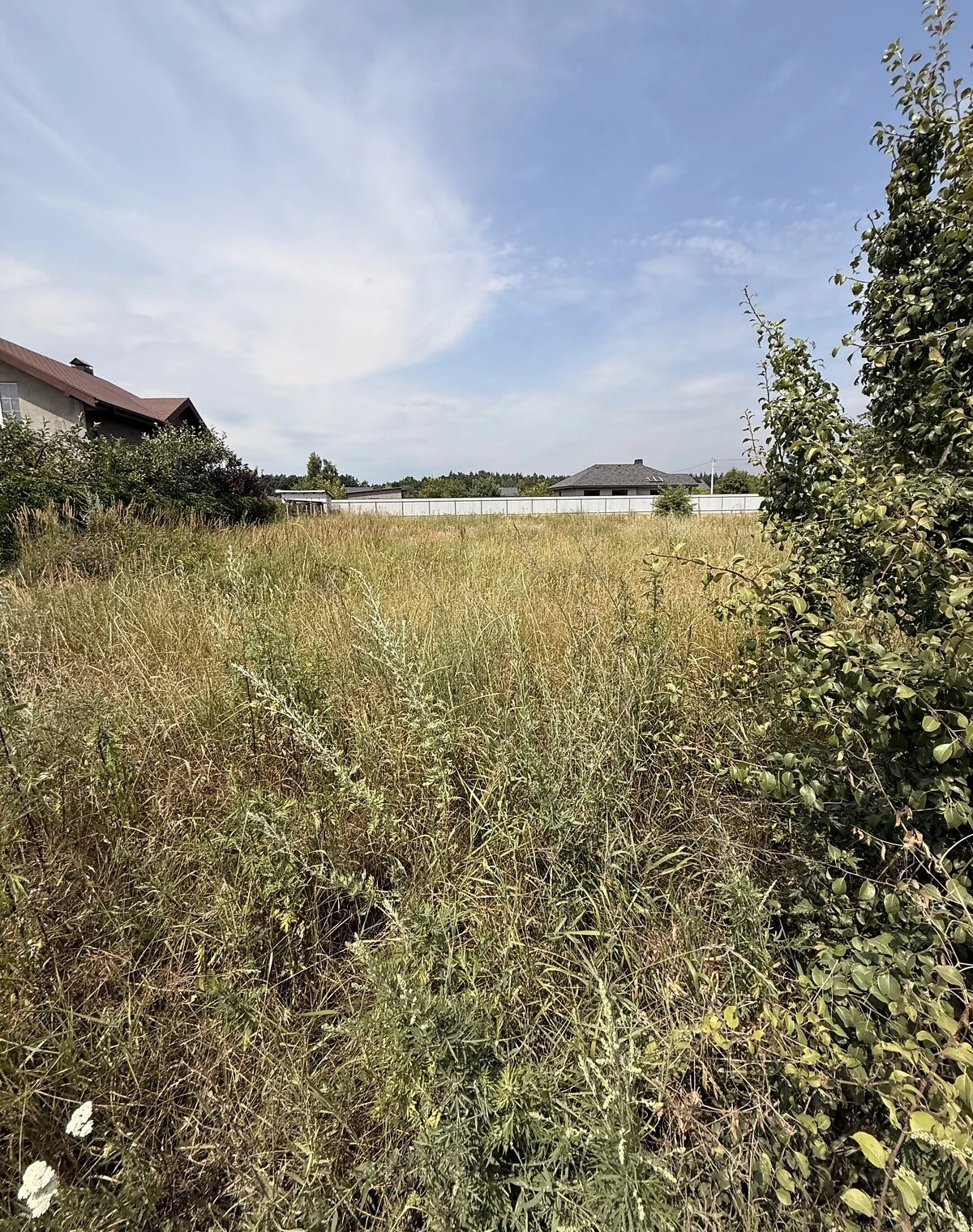 Ділянка 0.0961 га, Дмитрівка (Буча): під житлову забудову, торг, фото 2