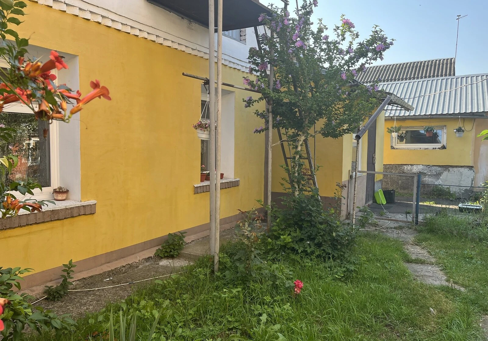 Будинок, Тарабанівка: веранда, 6 соток, єВідновлення, фото 5