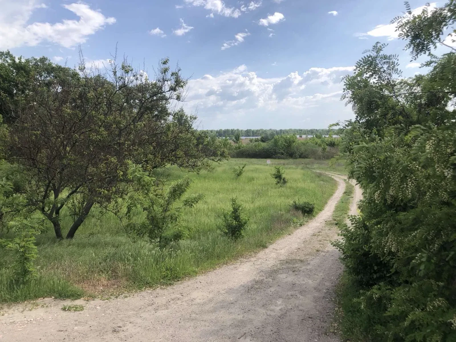 Ділянка 10 соток, Ревівка: 20 м до Дніпра, під забудову, фото 5
