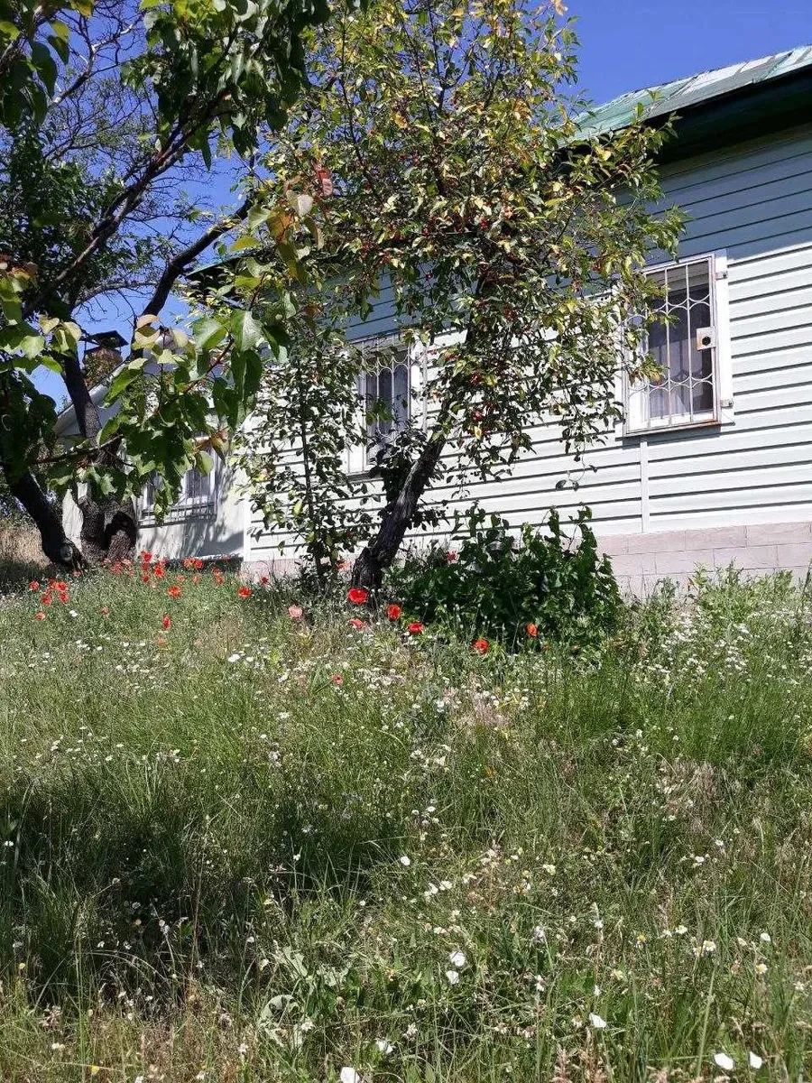 Дом, Виповзов: терраса 30 м², лес и река, гостевой дом, фото 2