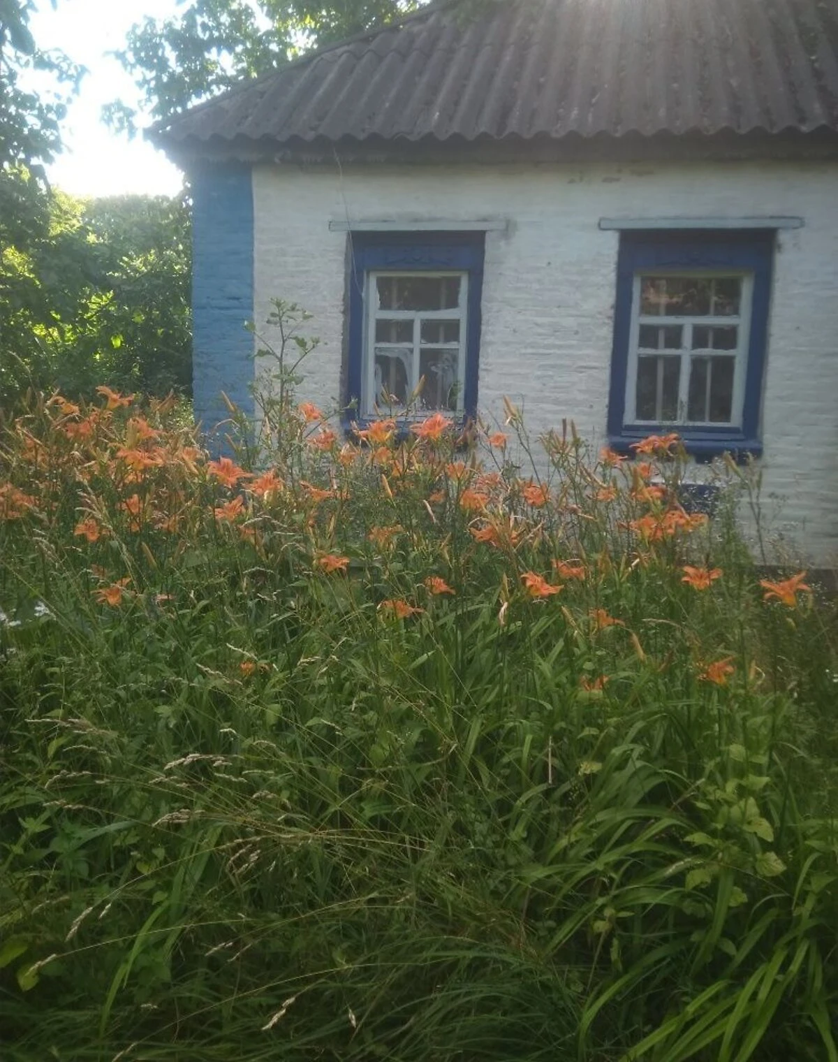 Будинок, Клепачі: літня кухня, ділянка 50 соток - фото 2