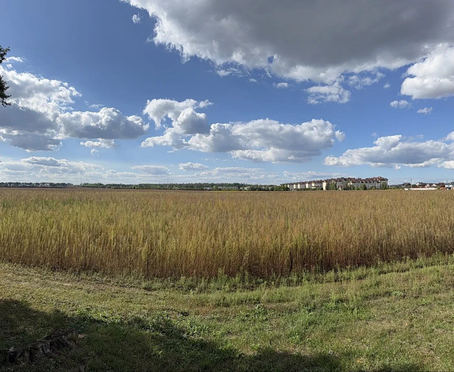 Ділянка 200 соток, Гора: під котеджі, панорамні краєвиди, фото 4