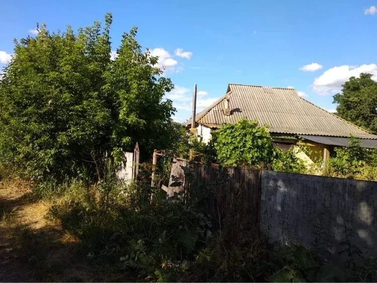 Будинок, Харківці: піч, тераса, 25 соток - фото 3