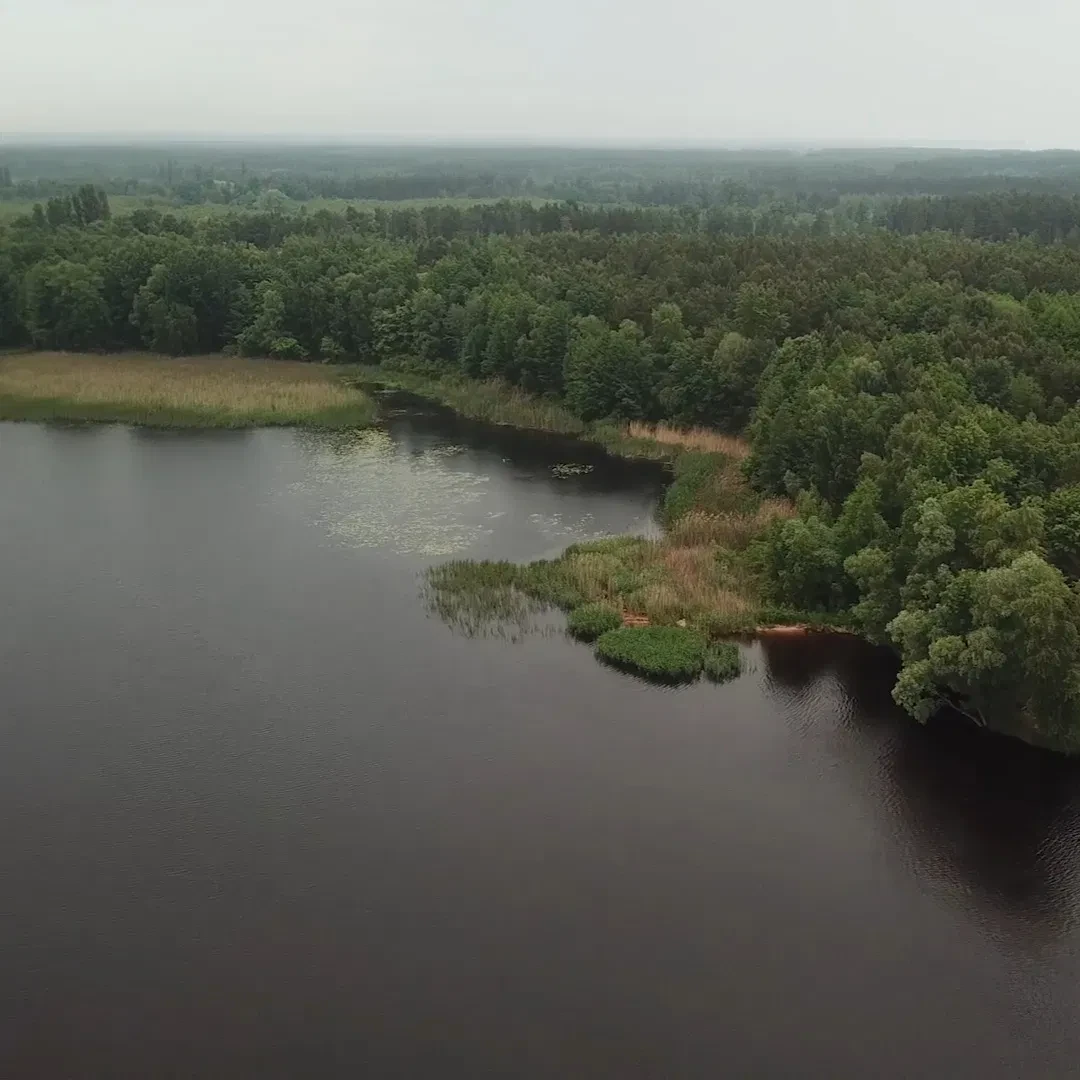 Ділянка 170 соток, Толокунь: вихід до Київського моря, оренда на 49 років - фото 4
