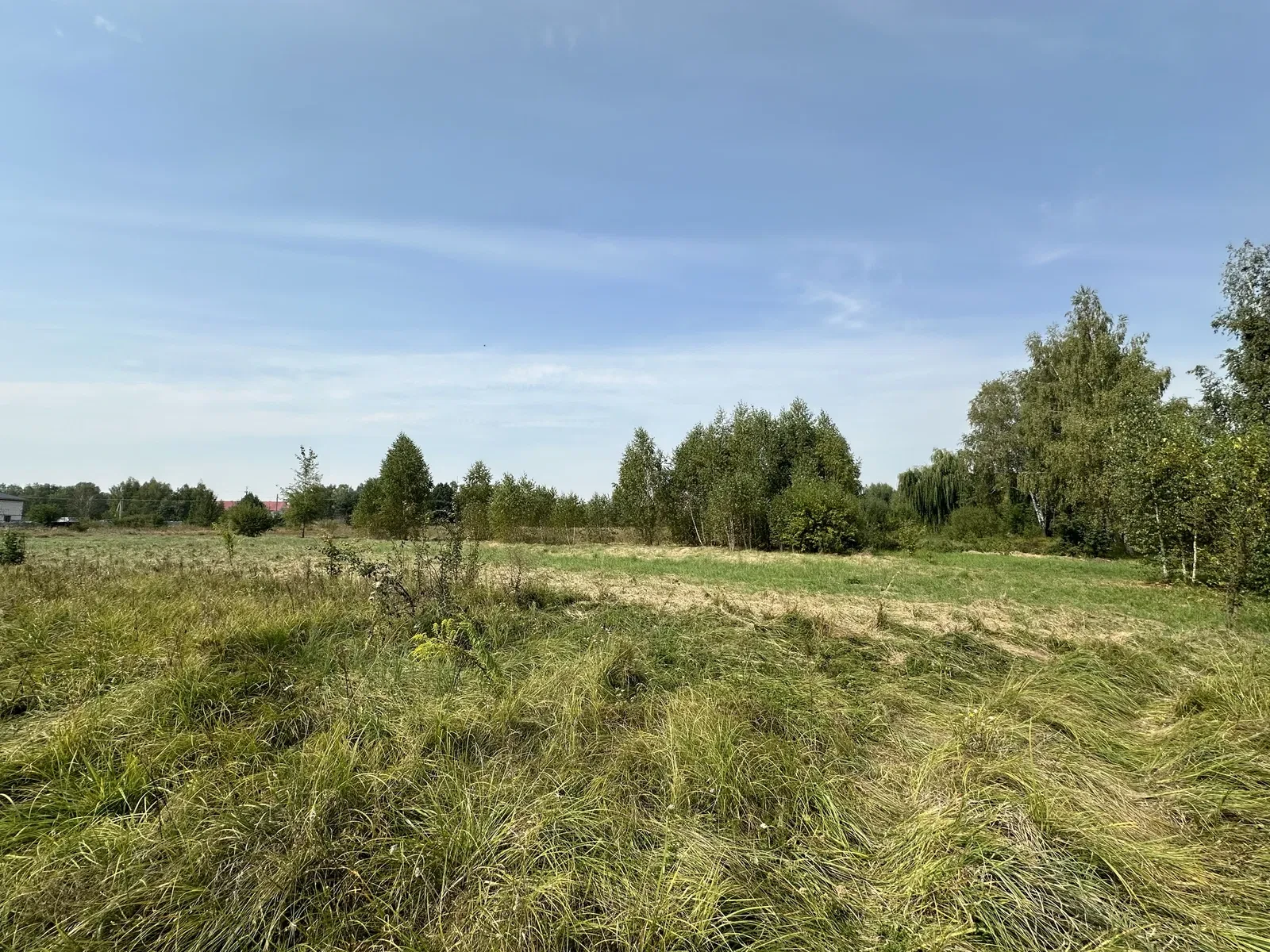 Ділянка 20 соток, Берестянка: під забудову, ліс і два озера - фото 3