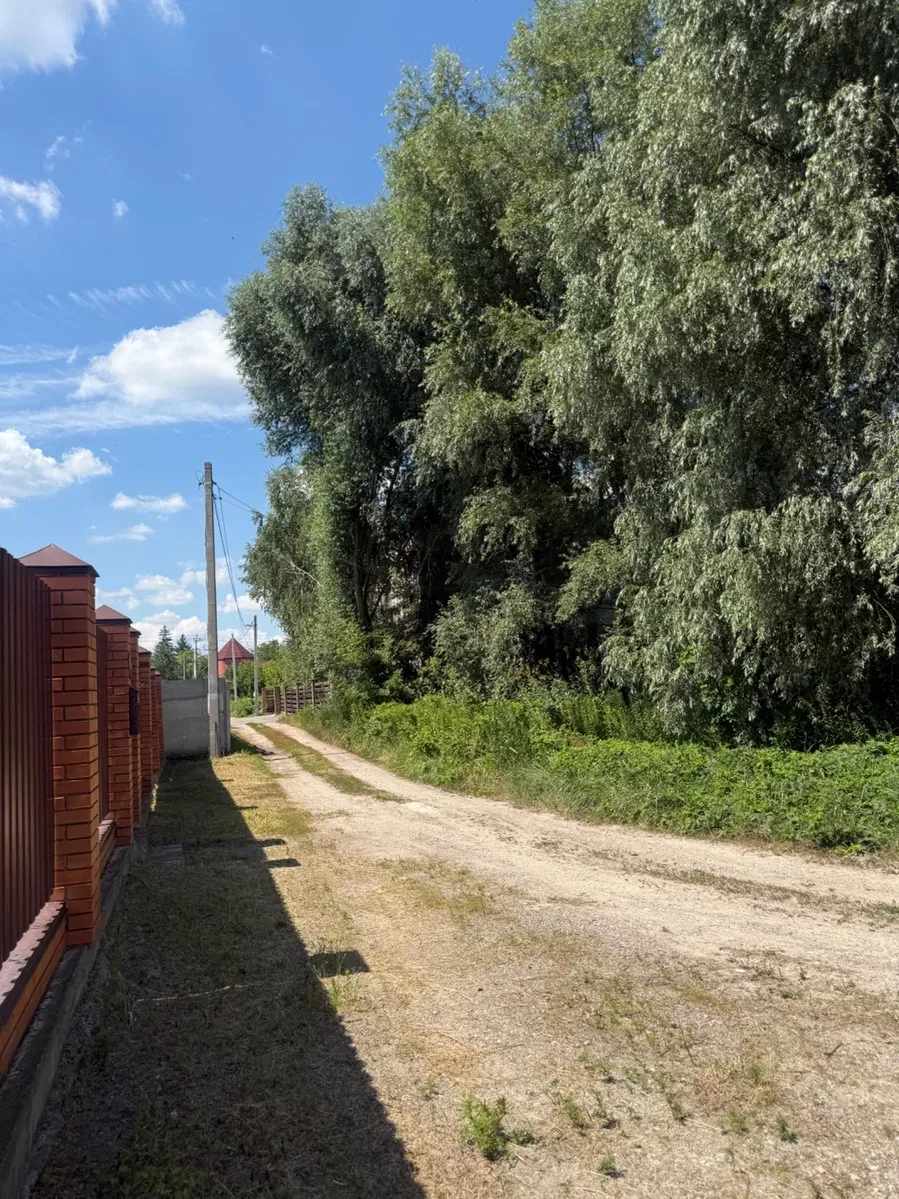 Ділянка 25 соток, Гнідин: під забудову, озеро та сосновий ліс поруч - фото 4