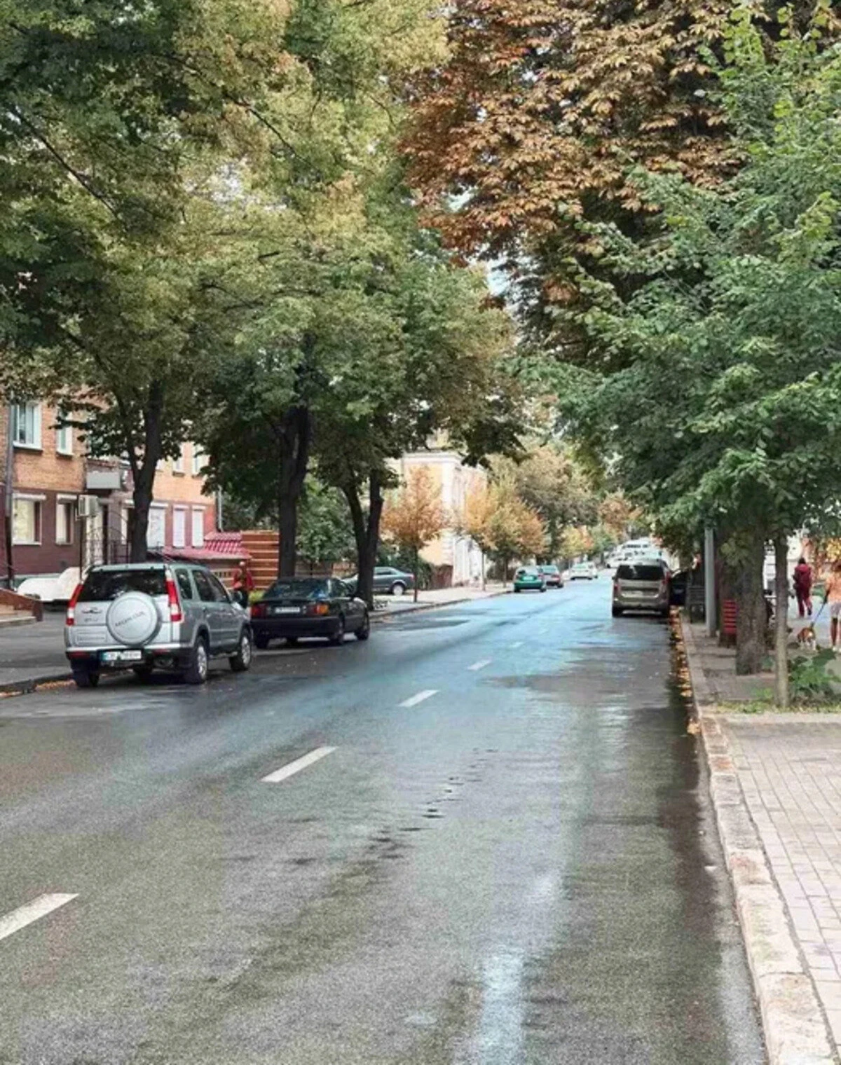 3-комнатная квартира, Деснянский - фото 2
