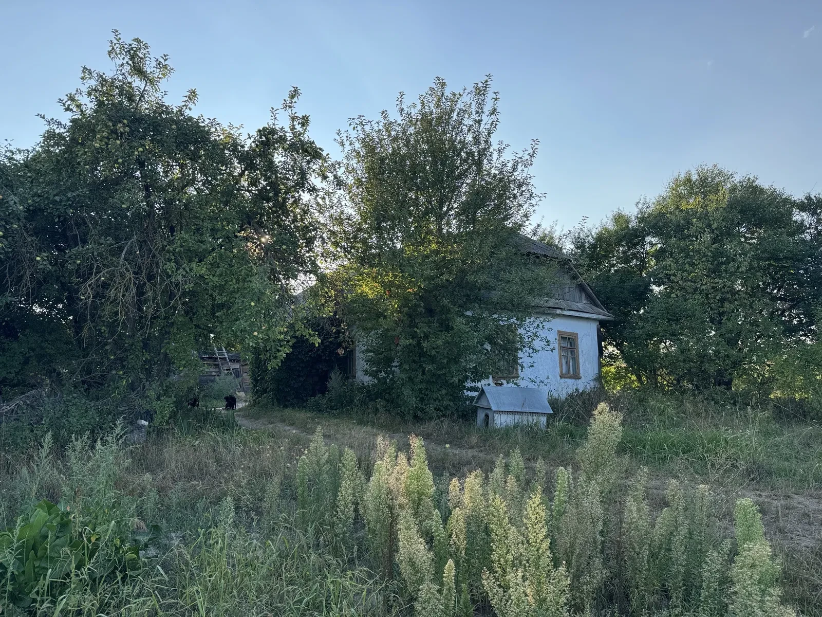 Ділянка 104 соток, Олександрія: будинок, обмін, ліс і водойма - фото 1