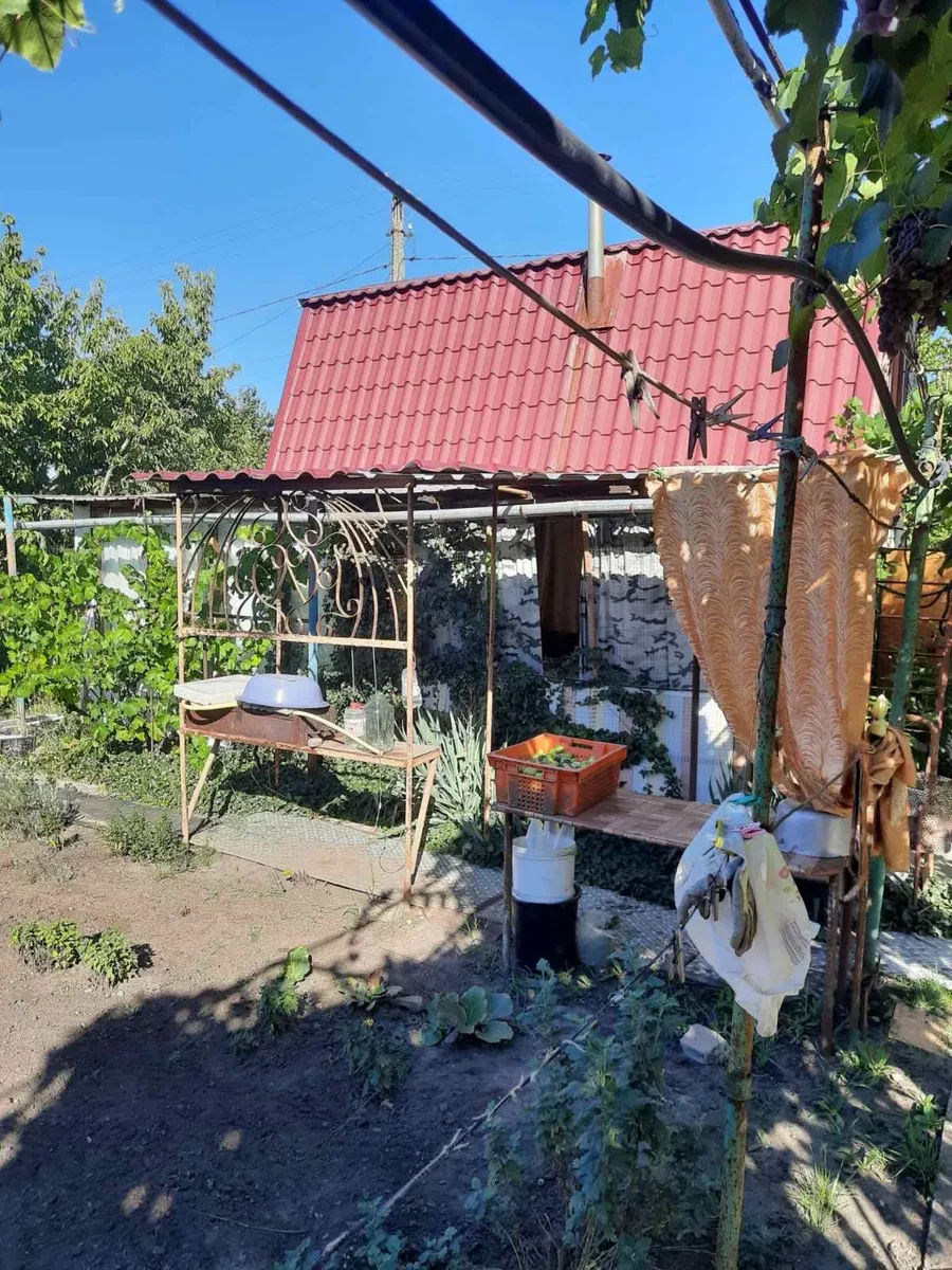 Дача, Новолозуватка: полуостров, 6 соток сада, кладка для рыбалки - фото 3
