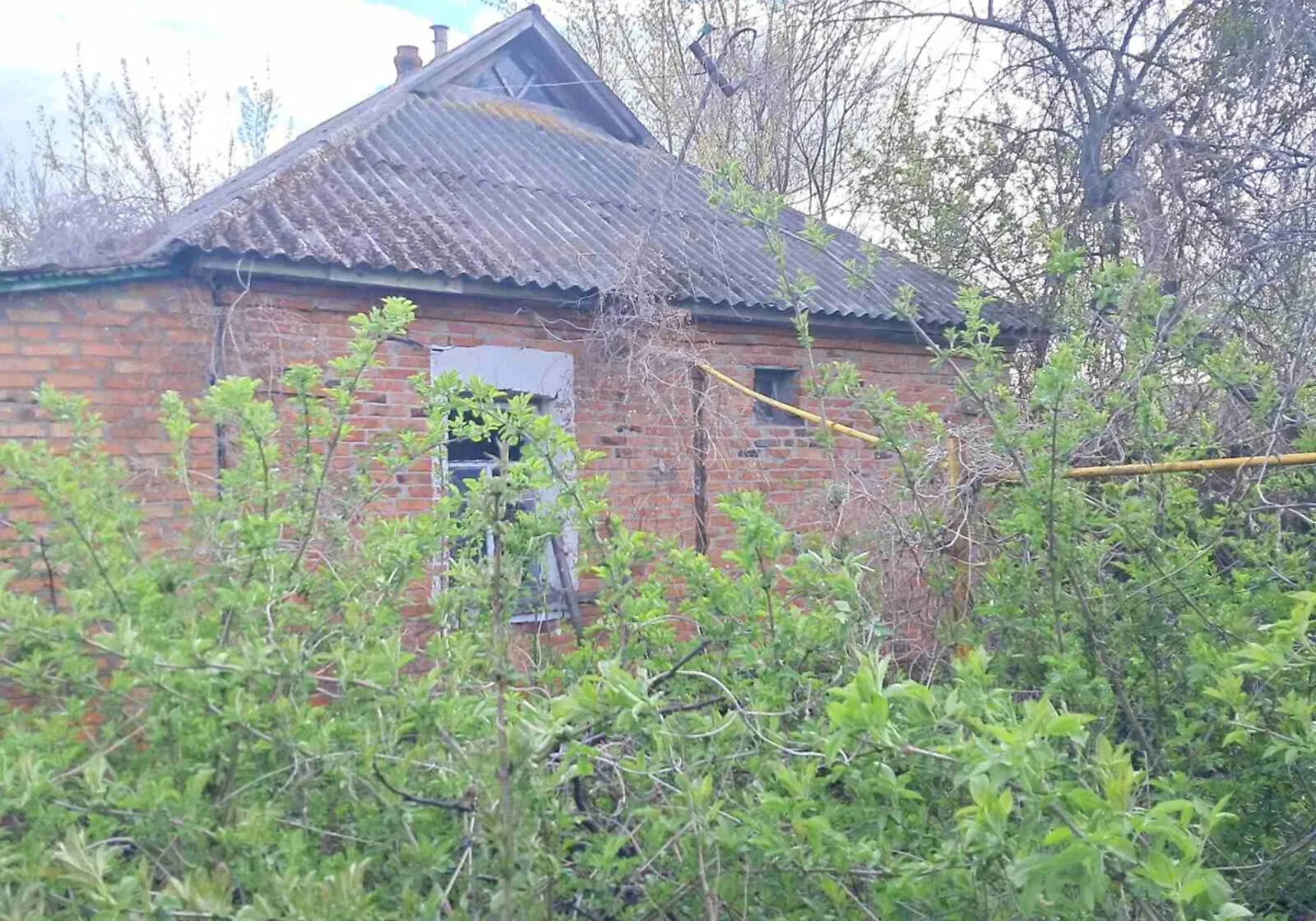 Дом, Андрияшовка: летняя кухня, кирпичные стены, фото 5
