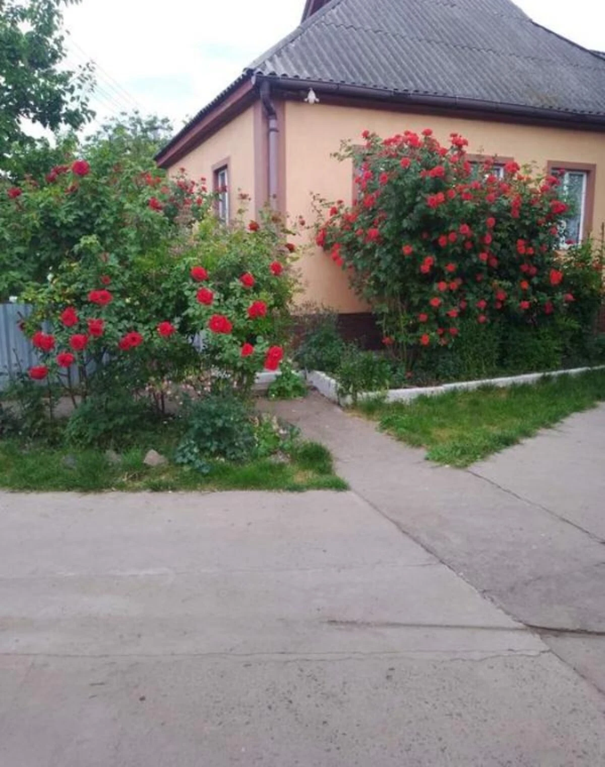 Дом, Великая Яблоновка: гараж, беседка, 33 сотки - фото 2