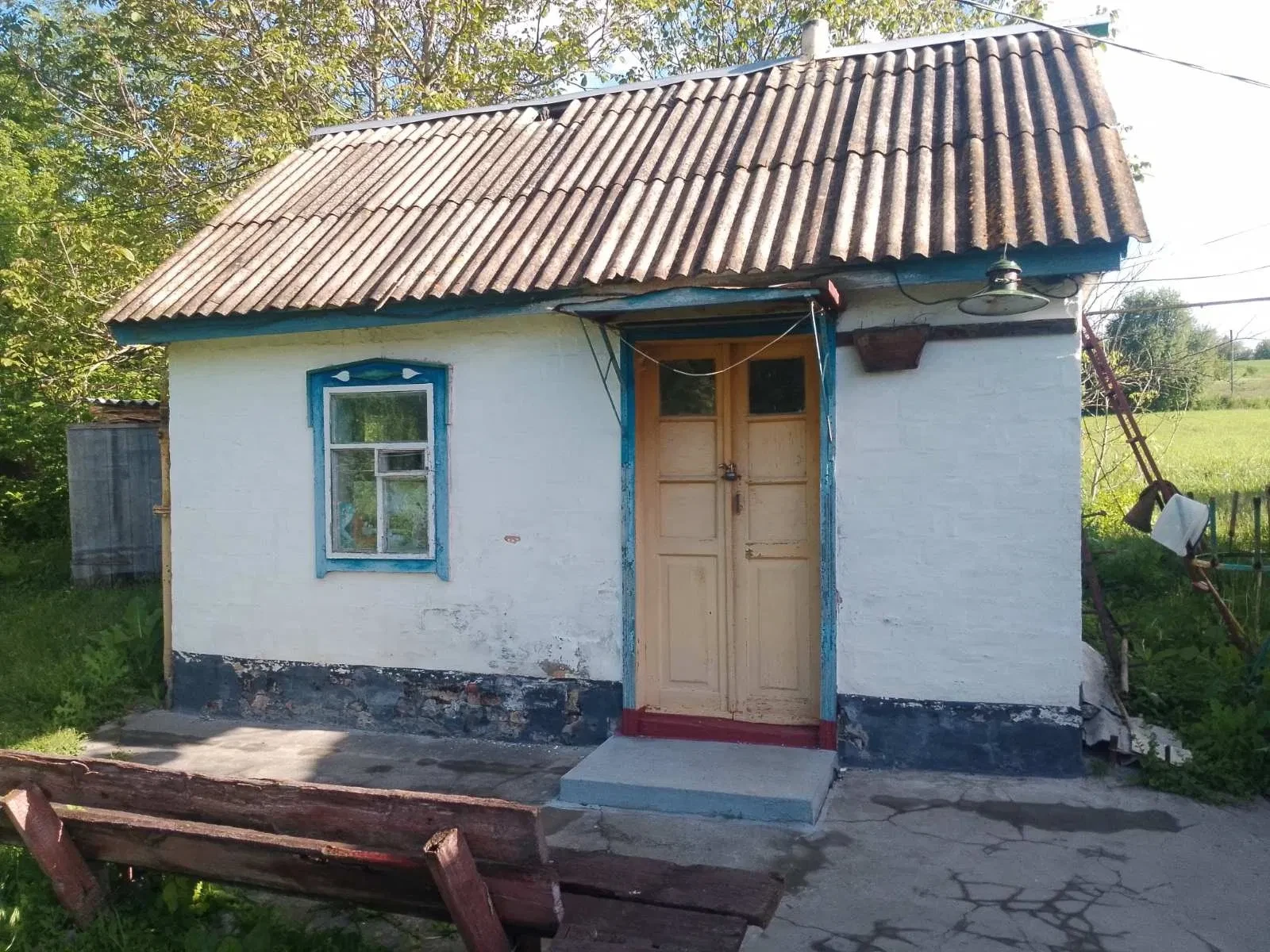 Будинок, Голяки: 12,20 соток, сад і господарські будівлі, фото 3