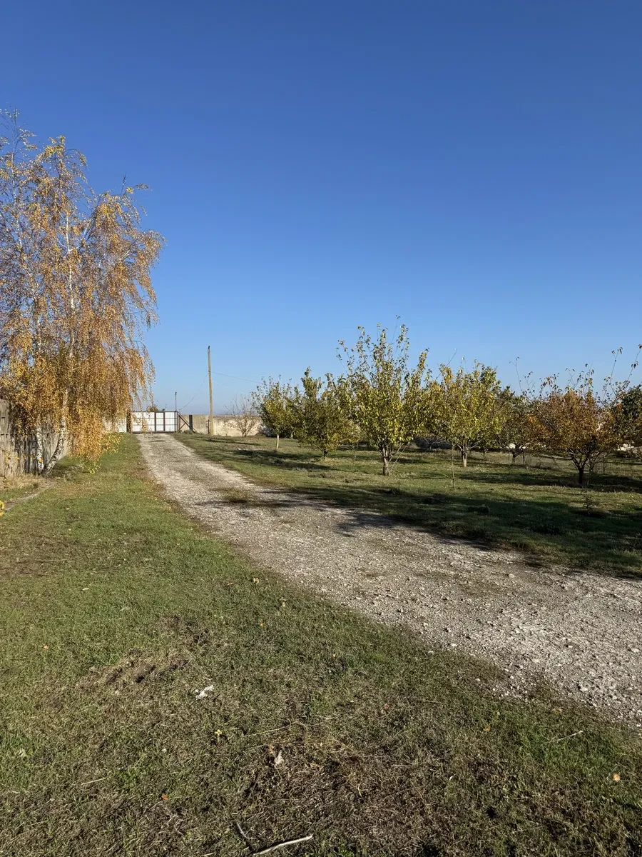 Фермерское хозяйство, Приветное: 32 га в собственности, 2 теплицы, фото 2