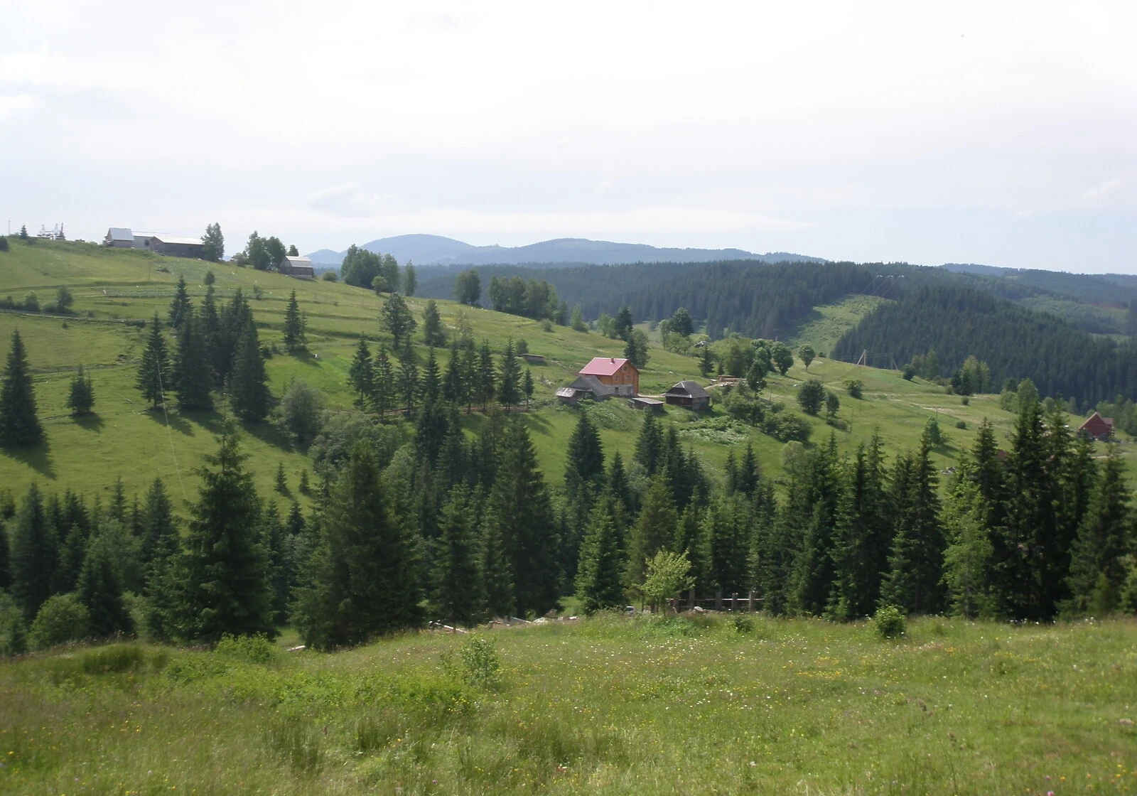 Ділянка 8.5 соток, Вишків: під житлову забудову, під гараж - фото 3