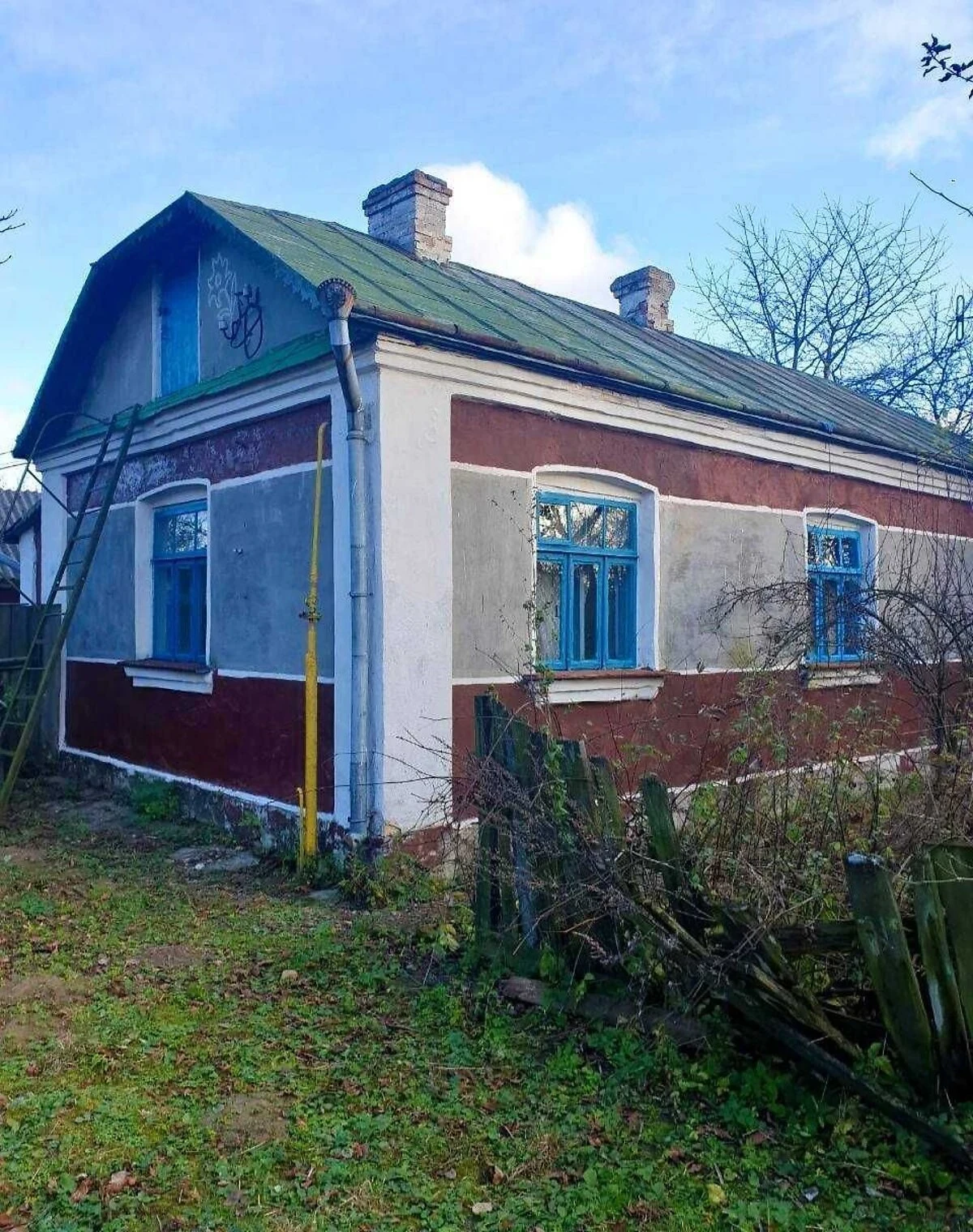 Будинок, Заболотці: 62 сотки, газове та пічне опалення - фото 3