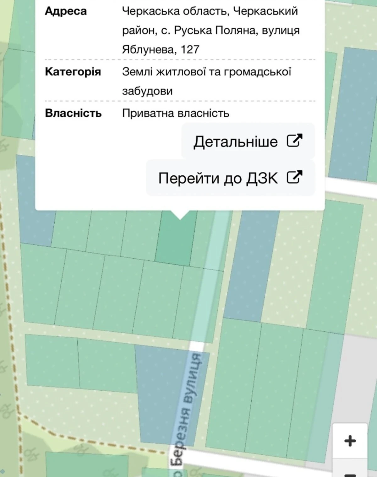 Ділянка 10 соток, Руська Поляна: під житлову забудову, чорнозем - фото 1