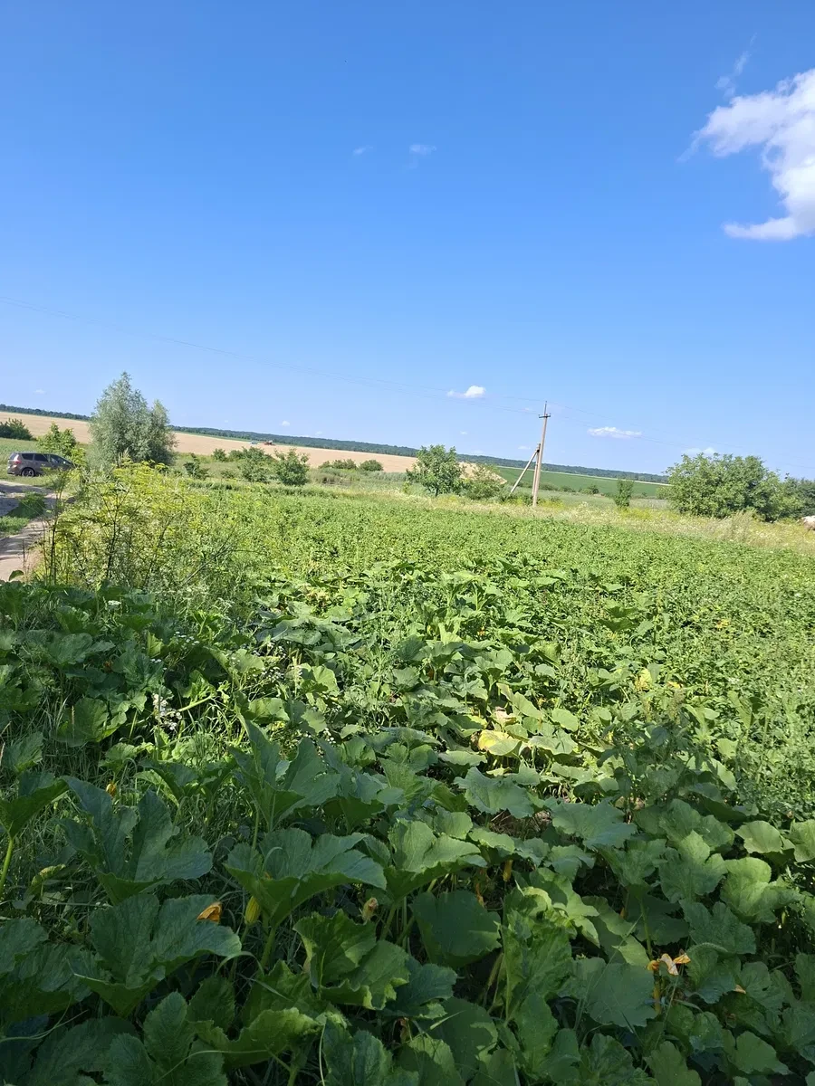 Участок 10 соток, Староконстантинов: под застройку, рядом река, фото 5
