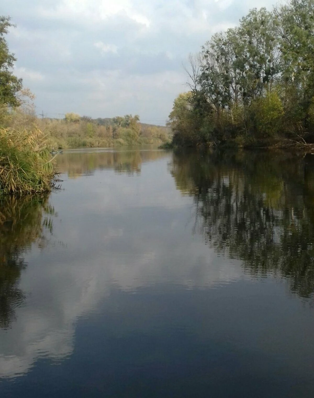 Дача, Черемушне: ділянка із садом, цегляні стіни, фото 5