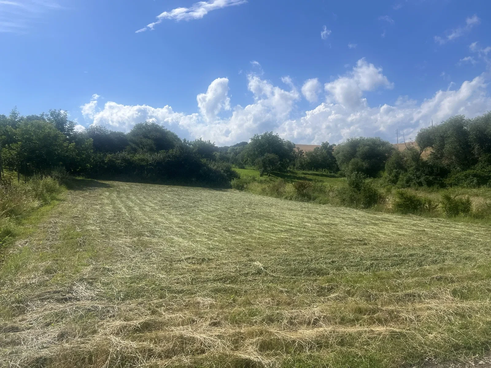 Ділянка 14 соток, Заволока: під забудову, 2 км від стелса - фото 2