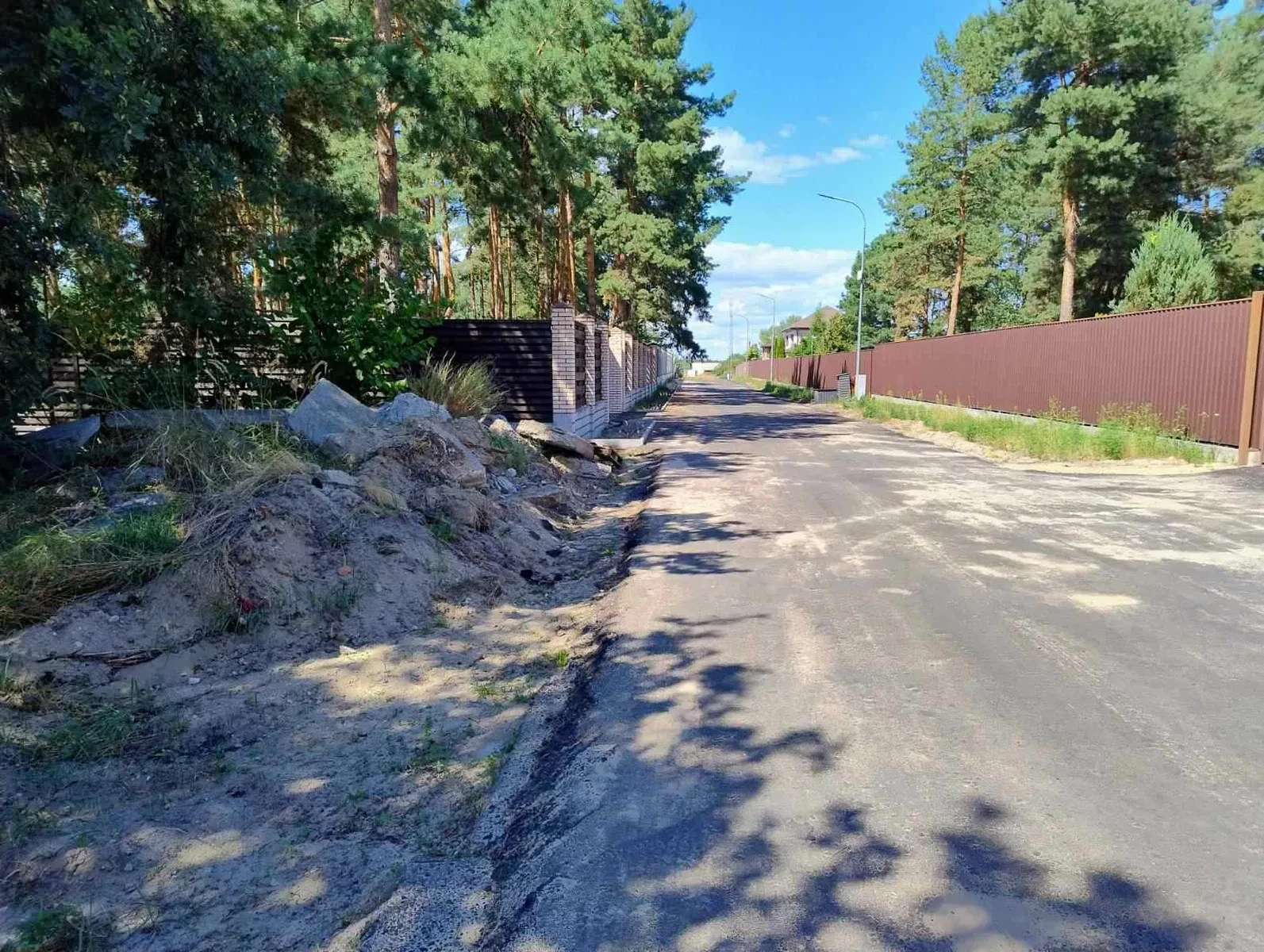 Ділянка 65 соток, Хотянівка: 80 м до обвідного каналу, електрика біля ділянки - фото 2