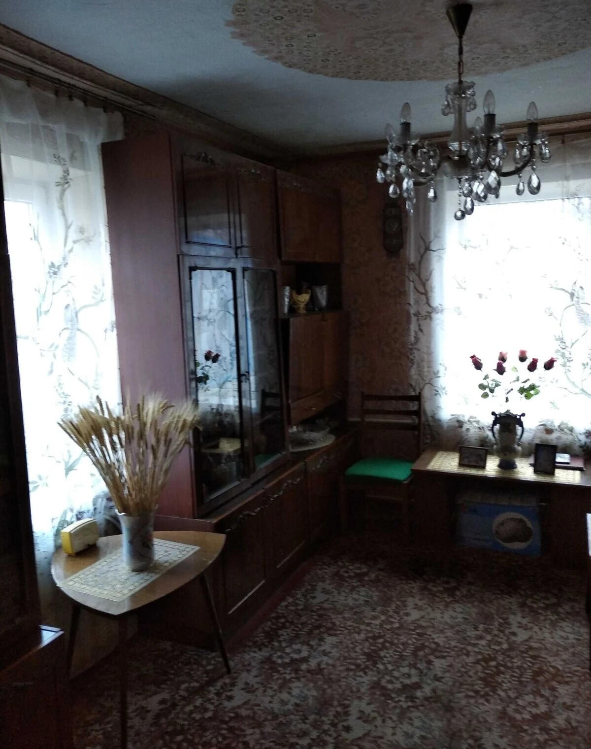 Будинок, Запоріжжя: гараж із підвалом, літня кухня, фото 5