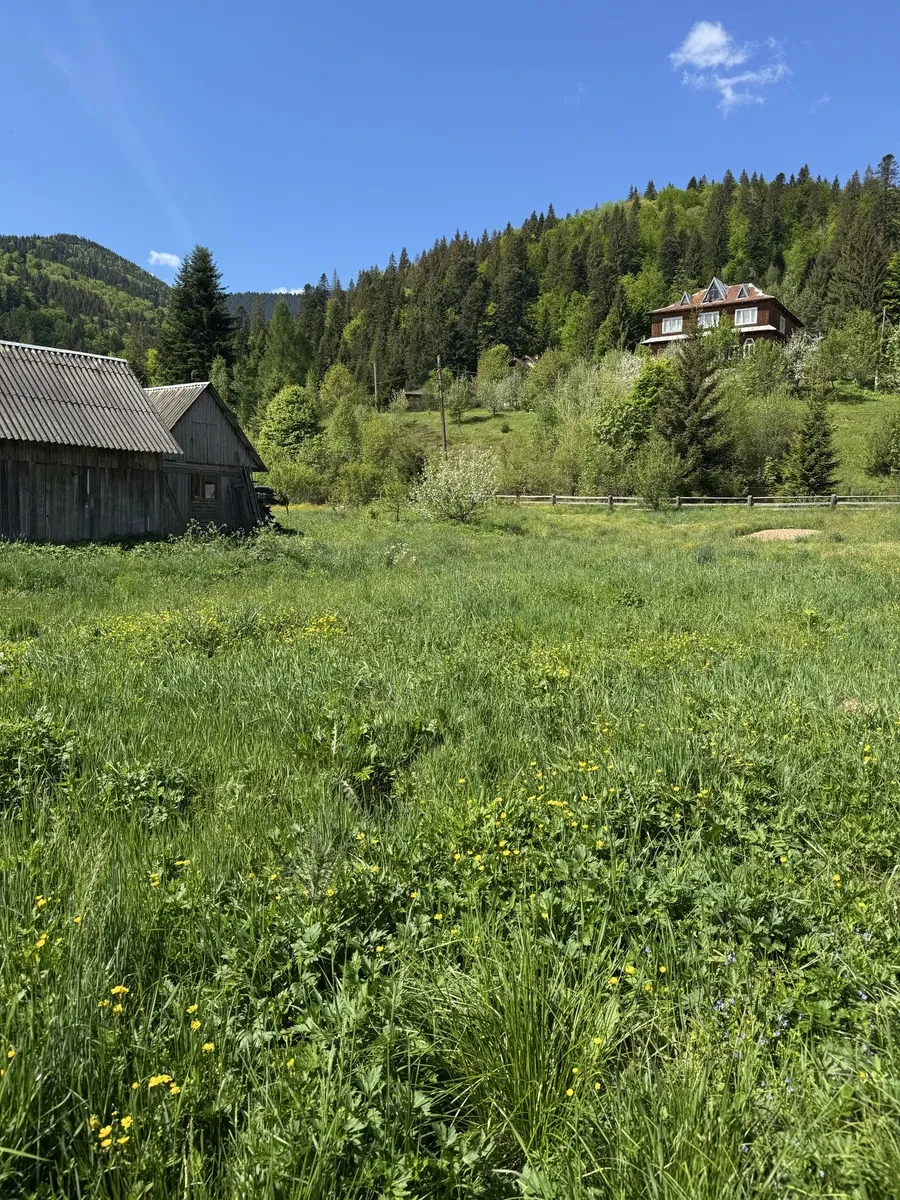 Ділянка 37 соток, Татарів: світло підключено, вид на Карпати, обмін - фото 2
