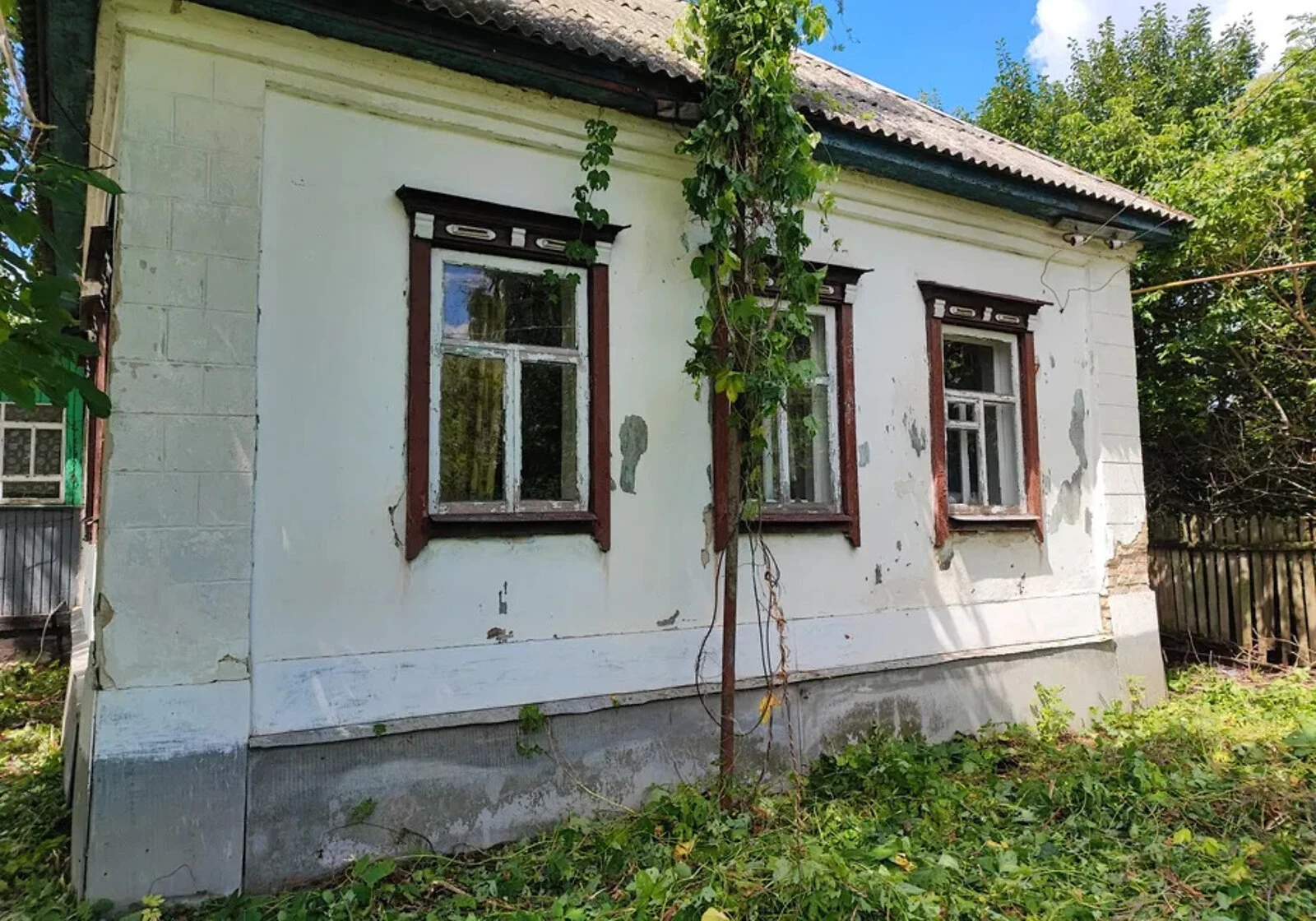 Будинок, Підлипне: гараж у дворі, город і літня кухня, фото 5