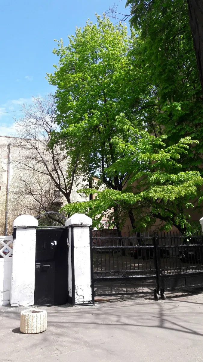 3-кімнатна квартира, Приморський: дві спальні, можна з тваринами, фото 5