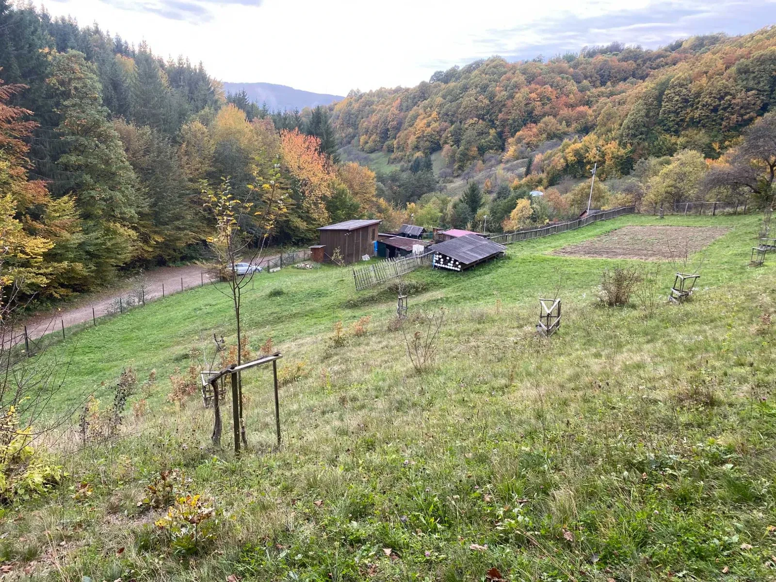 Участок 50 соток, Луг: вода, генератор, Буковель 70 км - фото 1