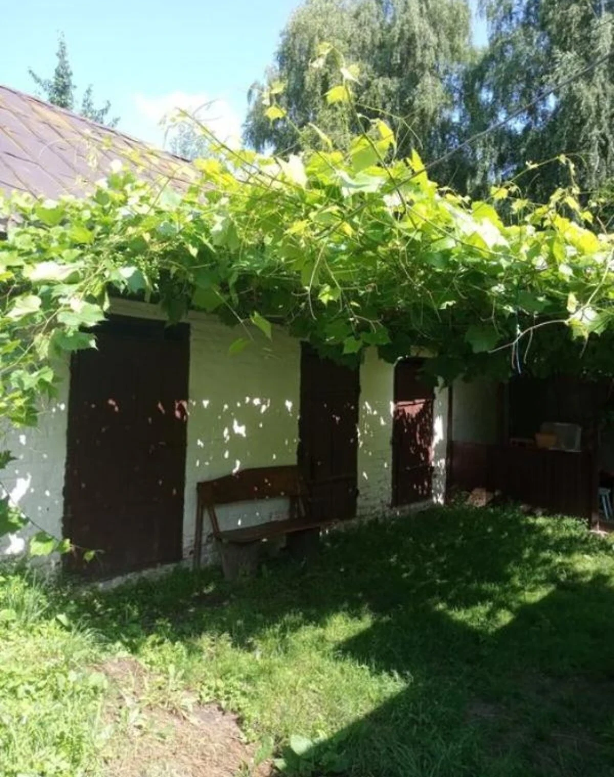 Будинок, Березна: ділянка 33 сотки, бесідка, пічне опалення - фото 3