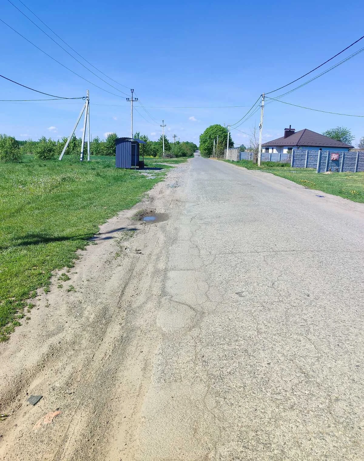 Ділянка 50 соток, Лука-Мелешківська: сільськогосподарське призначення - фото 4